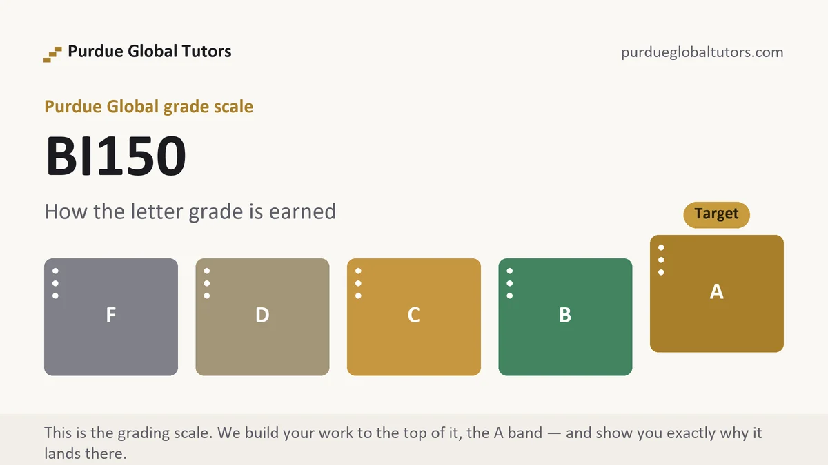 BI150 grading scale at Purdue Global, how the work is graded, from Purdue Global Tutors
